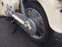 �z���_���g���J�u�i���m������s�j�摜11