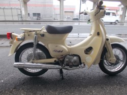 �z���_���g���J�u�i���m������s�j�摜3