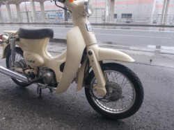 �z���_���g���J�u�i���m������s�j�摜12