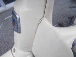 �z���_���g���J�u�i���m������s�j�摜13