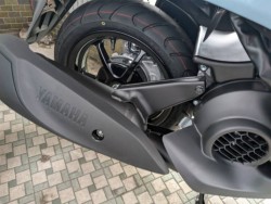 ���}�nFazzio�i���m�����m�s�j�摜13