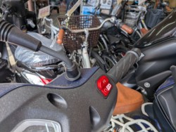 �X�Y�L�A�h���X125�i���m�����m�s�j�摜6