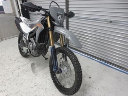 z_CRF250LiQɗ\Suj摜2
