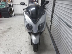 �z���_�t�H���c�@�y�i���Q���ɗ\�S�u�����j�摜2