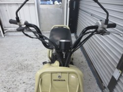 �z���_�Y�[�}�[�i���Q���ɗ\�S�u�����j�摜3