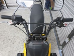 �z���_�Y�[�}�[X�i���Q���ɗ\�S�u�����j�摜3