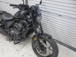 �z���_���u��1100�i���Q���ɗ\�S�u�����j�摜7