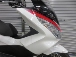 �z���_PCX�i���Q���ɗ\�S�u�����j�摜8