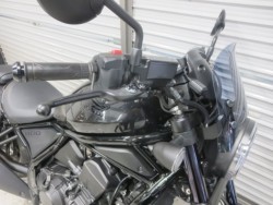 �z���_���u��1100�i���Q���ɗ\�S�u�����j�摜8