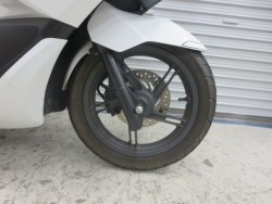 �z���_PCX�i���Q���ɗ\�S�u�����j�摜9