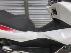 �z���_PCX�i���Q���ɗ\�S�u�����j�摜10
