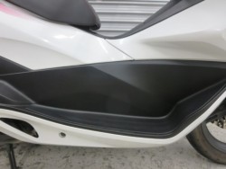 �z���_PCX�i���Q���ɗ\�S�u�����j�摜11