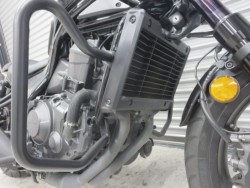 �z���_���u��1100�i���Q���ɗ\�S�u�����j�摜12