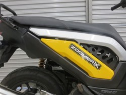 �z���_�Y�[�}�[X�i���Q���ɗ\�S�u�����j�摜20