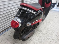 �z���_�W�����m�i���Q���ɗ\�S�u�����j�摜21