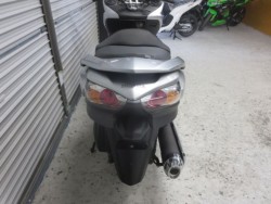 �z���_�t�H���c�@�y�i���Q���ɗ\�S�u�����j�摜22