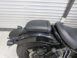 �z���_���u��1100�i���Q���ɗ\�S�u�����j�摜22
