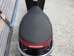 �z���_�W�����m�i���Q���ɗ\�S�u�����j�摜25