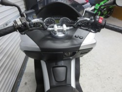 �z���_�t�H���c�@�y�i���Q���ɗ\�S�u�����j�摜27