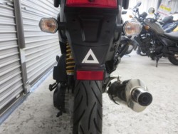 �z���_�Y�[�}�[X�i���Q���ɗ\�S�u�����j�摜27