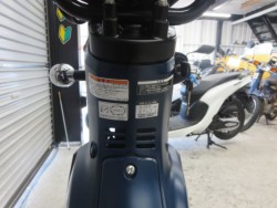 �z���_�N���X�J�u110�i���Q���ɗ\�S�u�����j�摜27