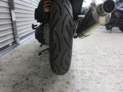 �z���_�Y�[�}�[X�i���Q���ɗ\�S�u�����j�摜28