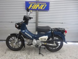 �z���_�N���X�J�u110�i���Q���ɗ\�S�u�����j�摜28