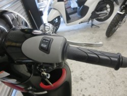 �z���_�W�����m�i���Q���ɗ\�S�u�����j�摜29