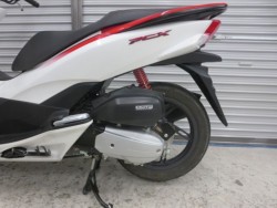 �z���_PCX�i���Q���ɗ\�S�u�����j�摜32