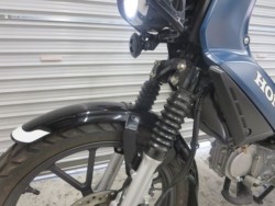�z���_�N���X�J�u110�i���Q���ɗ\�S�u�����j�摜33