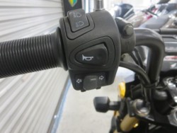 �z���_�Y�[�}�[X�i���Q���ɗ\�S�u�����j�摜34