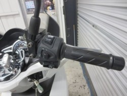 �z���_PCX�i���Q���ɗ\�S�u�����j�摜38