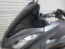 �z���_PCX�i���Q���ɗ\�S�u�����j�摜38