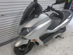 �z���_�t�H���c�@�y�i���Q���ɗ\�S�u�����j�摜39