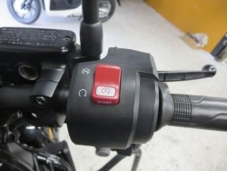 �z���_���u��1100�i���Q���ɗ\�S�u�����j�摜39