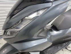 �z���_PCX�i���Q���ɗ\�S�u�����j�摜39