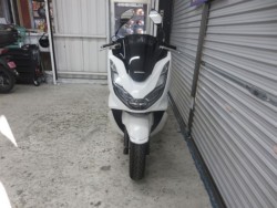 �z���_PCX�i���Q���ɗ\�S�u�����j�摜3