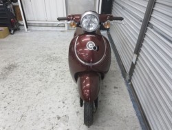 �z���_�W�����m�i���Q���ɗ\�S�u�����j�摜2