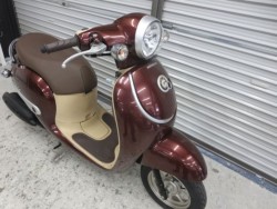 �z���_�W�����m�i���Q���ɗ\�S�u�����j�摜7