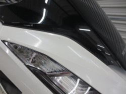 �z���_PCX�i���Q���ɗ\�S�u�����j�摜10
