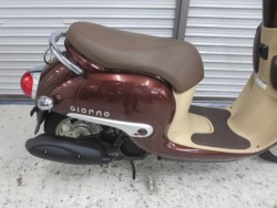 �z���_�W�����m�i���Q���ɗ\�S�u�����j�摜14