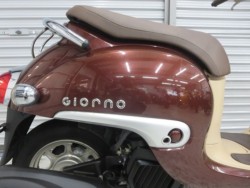 �z���_�W�����m�i���Q���ɗ\�S�u�����j�摜16