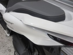 �z���_PCX�i���Q���ɗ\�S�u�����j�摜21