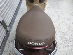 �z���_�W�����m�i���Q���ɗ\�S�u�����j�摜20