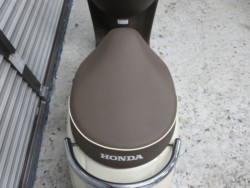 �z���_�W�����m�i���Q���ɗ\�S�u�����j�摜24