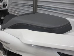 �z���_PCX�i���Q���ɗ\�S�u�����j�摜28