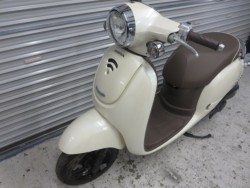 �z���_�W�����m�i���Q���ɗ\�S�u�����j�摜28