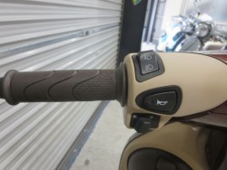 �z���_�W�����m�i���Q���ɗ\�S�u�����j�摜29