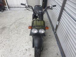 �z���_�Y�[�}�[�i���Q���ɗ\�S�u�����j�摜2