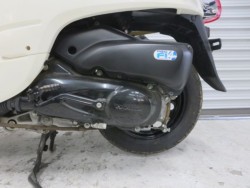�z���_�W�����m�i���Q���ɗ\�S�u�����j�摜37